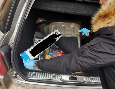 Miniatura: Tak działali przemytnicy przy granicy z...