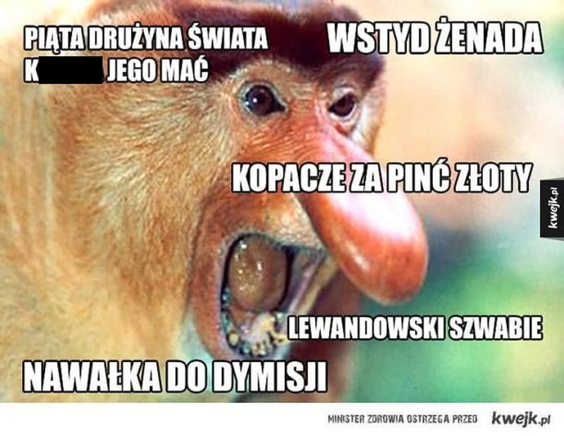 Mem po meczu Polski z Senegalem 