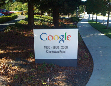 Miniatura: Izrael: Google angażuje się w politykę po...