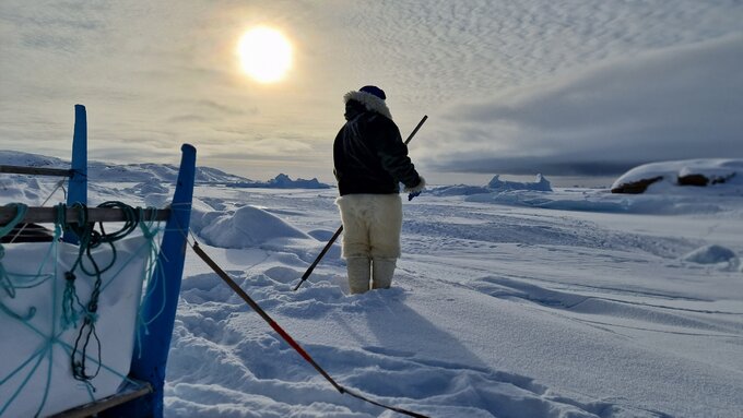 Kamila na&nbsp;Grenlandii