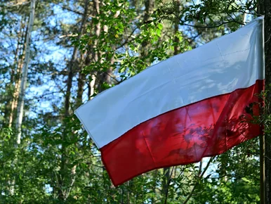 Miniatura: Połowa Polaków nie potrafi rozwiązać tego...