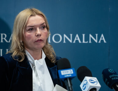 Miniatura: Prokuratura przedstawiła zarzuty...