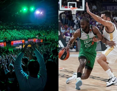 Miniatura: Czołowy klub Euroligi robi furorę na...