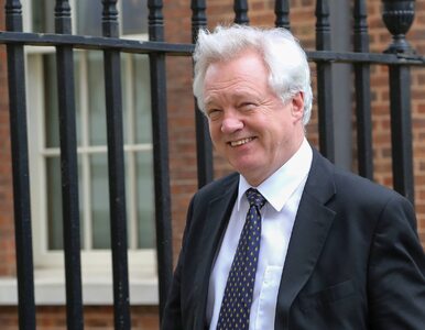 Miniatura: David Davis podał się do dymisji. Był...