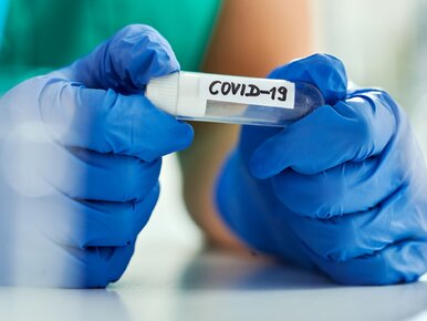 Miniatura: Pfizer o sporze z Polską. Umowy trzeba...