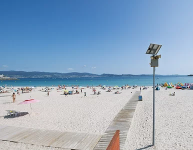 Miniatura: Mandat, a nawet więzienie. Polka ostrzega...