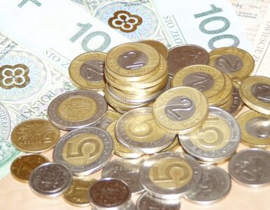 Miniatura: Polak zarabia średnio 3808,63 zł