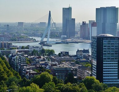 Miniatura: Kanały Rotterdamu lepsze niż ulice...