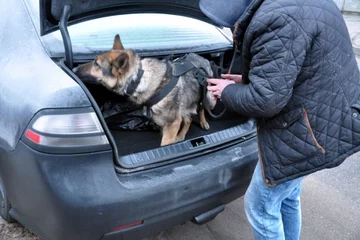 Policja rozbiła gang handlarzy narkotyków 