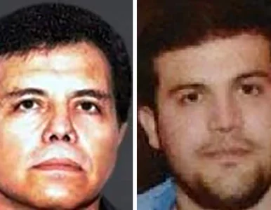 Miniatura: Król fentanylu „El Mayo” zatrzymany przez...