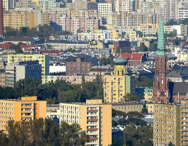 Miniatura: Na Pradze-Północ rosną w siłę nie tylko...