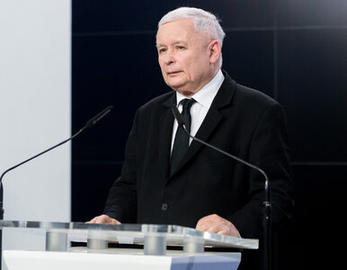 Miniatura: Kaczyński mówi o przypadkach pedofilii „w...