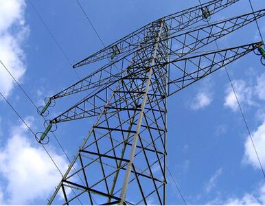 Miniatura: Rosja wstrzymuje dostawy prądu na...