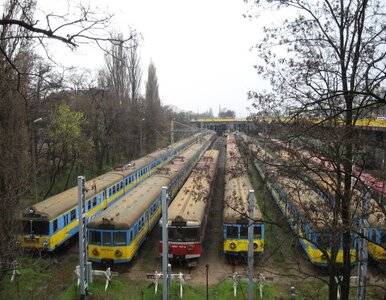 Miniatura: Pociągi śmierci. 150 Polaków zginęło na...