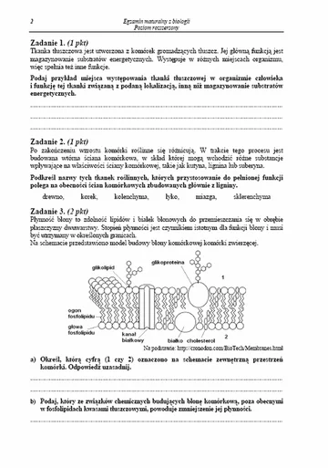 Matura 2013. Zobacz arkusze egzaminacyjne z biologii - poziom rozszerzony (fot.CKE)