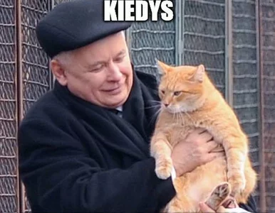 Miniatura: Rzeczniczka PiS publikuje mema z...