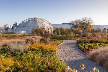 Naturalistyczny ogród Pieta Oudolfa na Vitra Campus w Weil am Rhein – przykład harmonii między dzikością a precyzyjnym projektowaniem 