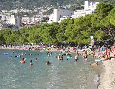 Miniatura: Koniec rezerwacji miejsc na plażach....