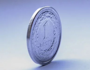 Miniatura: Biedny jak Polak. Wciąż zarabiamy mniej...