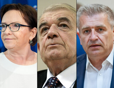 Miniatura: Polacy wybrali najlepszego ministra...
