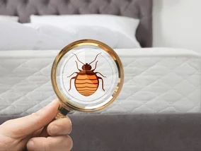 Miniatura: Trzymasz to&nbsp;pod łóżkiem? Wyniosłabym...