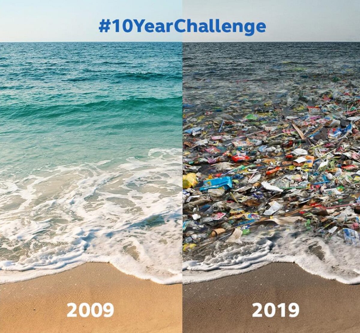 Odpowiedź ekologów na „10 years challenge” 