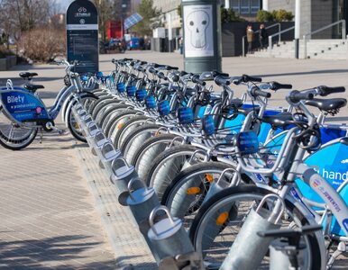 Miniatura: Kto będzie zarządzał rowerami miejskimi w...