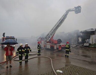 Miniatura: Czemu spłonęła hala w Wólce Kosowskiej?...