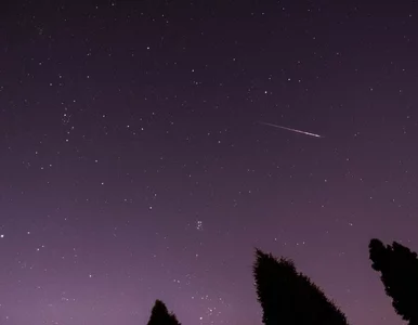 Miniatura: Perseidy 2022. Kiedy nastąpi noc...