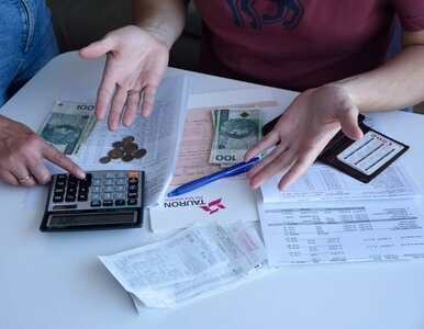 Miniatura: Spore zmiany w rachunkach za prąd. Ucieszy...