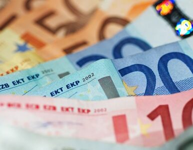 Miniatura: Niemcy raczej nie ufają euro