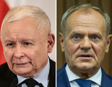 Miniatura: Tych polityków najczęściej krytykują...