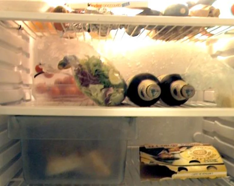 Miniatura: Spytaj lodówkę, czego jej brak...