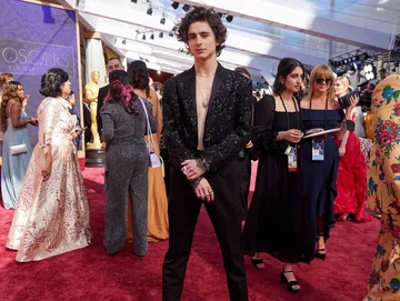 Timothée Chalamet 