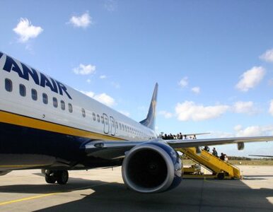 Miniatura: Ryanair nie kupi linii Aer Lingus
