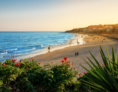 Miniatura: Hit na grudzień. Loty na słoneczną wyspę...