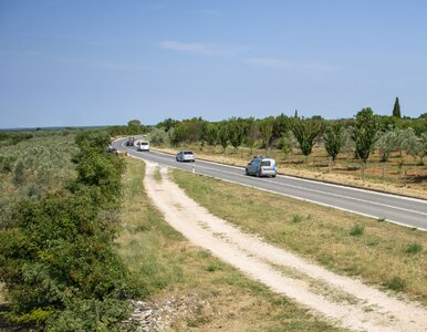 Miniatura: Klęska żywiołowa w popularnym wśród...