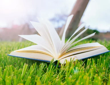 Miniatura: Te słowa wyszły z użycia. Wiesz, co znaczą?