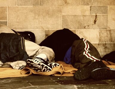 Miniatura: Rosja: 5 mln bezdomnych trafi do łagrów?