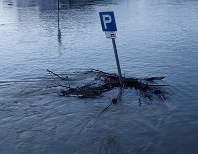 Miniatura: Katastrofalna powódź w Argentynie