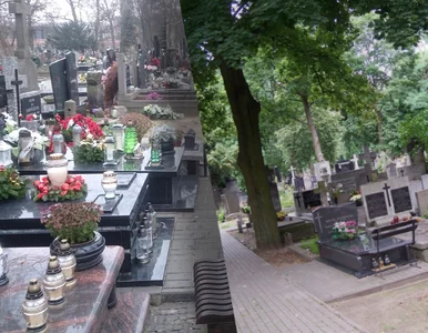 Miniatura: Grabieże i podpalenia na jednym z...