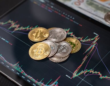 Miniatura: Tylu Polaków zainwestowało w kryptowaluty....
