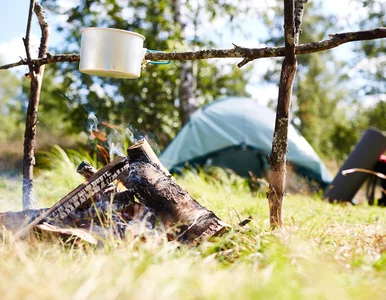 Miniatura: Przewodnicząca Związku Harcerstwa RP po...