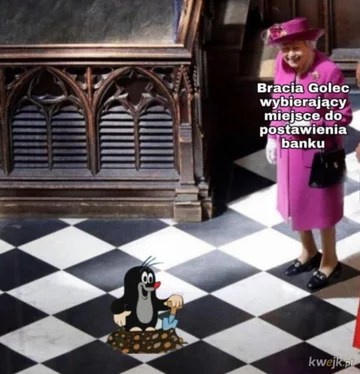 Memy z braćmi Golec 