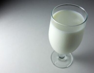 Miniatura: Mleko tanieje