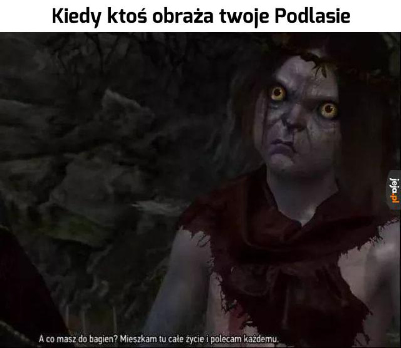 Mem inspirowany grami z serii Wiedźmin 