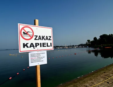 Miniatura: Naukowcy apelują do władz, chodzi o Odrę....