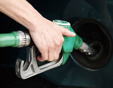 Miniatura: Bułgarska zmowa cenowa na rynku paliw