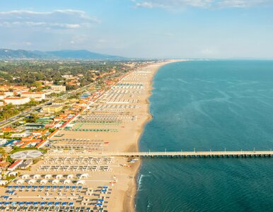 Miniatura: Luksusowa plaża słono kosztuje. Tyle...