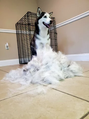 Trochę się tego zebrało 